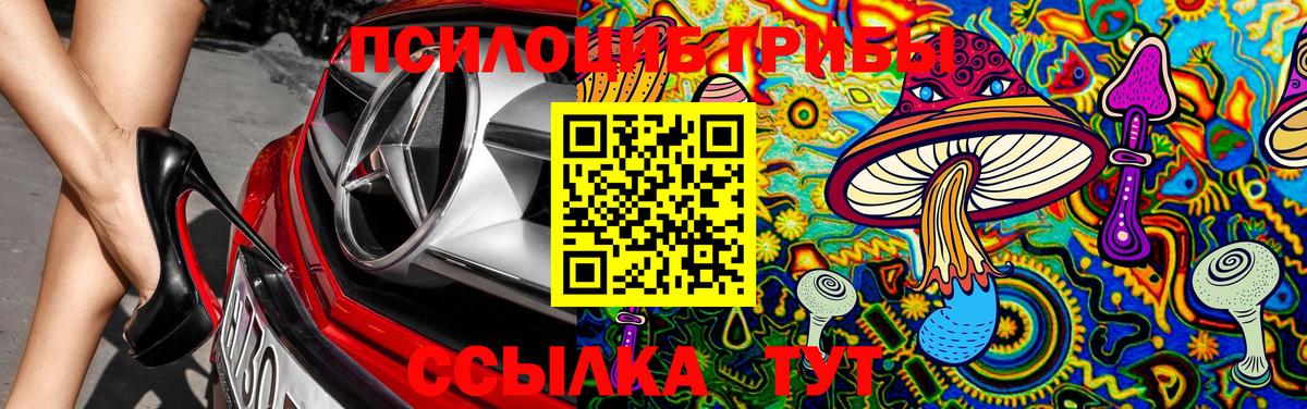 Псилоцибиновые грибы Magic Shrooms Тихвин
