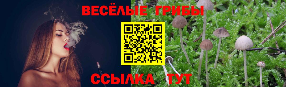 Псилоцибиновые грибы MAGIC MUSHROOMS  Вход с VPN  Тихвин  Псилоцибиновые грибы Cubensis 